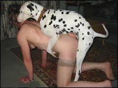 [Video of Dog XXX] Slender wife in exclusive black and white beastiality video